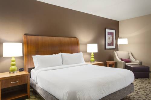 Imagen de la habitación del Hotel Hilton Garden Inn Tuscaloosa. Foto 5