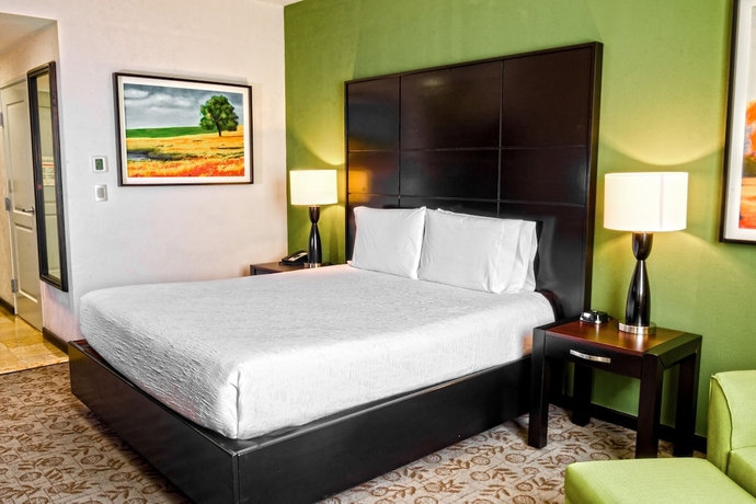 Imagen de la habitación del Hotel Hilton Garden Inn Tuxtla Gutierrez. Foto 3