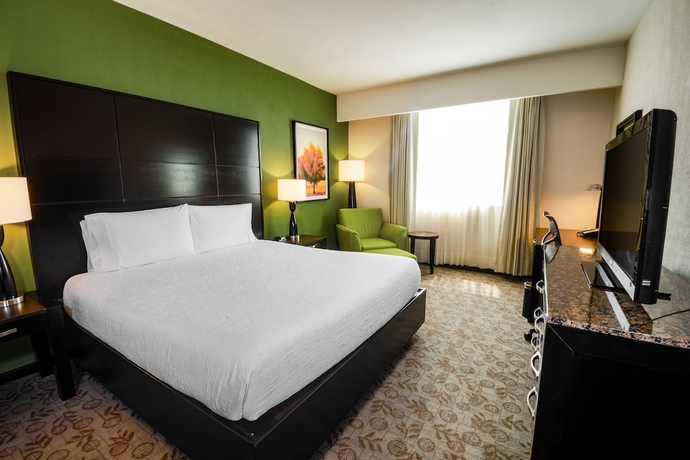 Imagen de la habitación del Hotel Hilton Garden Inn Tuxtla Gutierrez. Foto 7