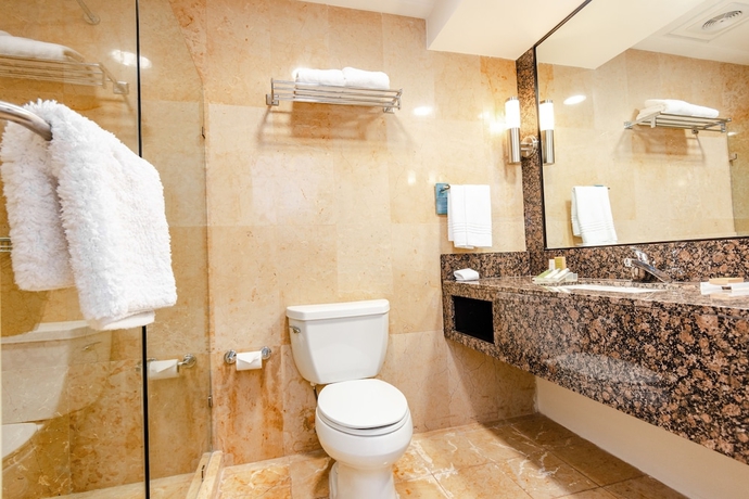 Imagen de la habitación del Hotel Hilton Garden Inn Tuxtla Gutierrez. Foto 8