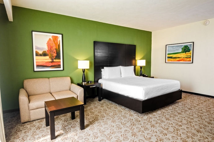 Imagen de la habitación del Hotel Hilton Garden Inn Tuxtla Gutierrez. Foto 15