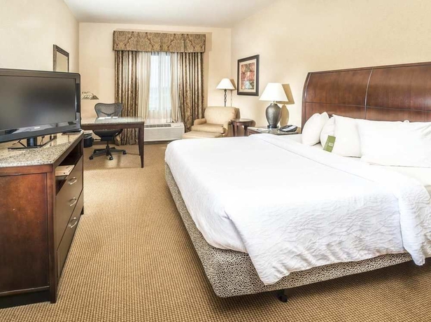 Imagen de la habitación del Hotel Hilton Garden Inn Twin Falls. Foto 4