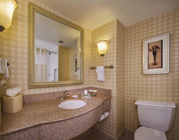 Imagen de la habitación del Hotel Hilton Garden Inn Tysons Corner. Foto 4