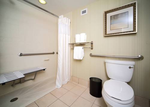 Imagen de la habitación del Hotel Hilton Garden Inn Valdosta. Foto 9