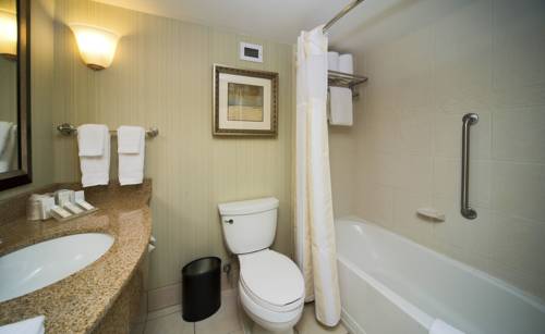 Imagen de la habitación del Hotel Hilton Garden Inn Valdosta. Foto 15
