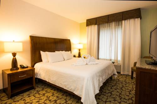Imagen de la habitación del Hotel Hilton Garden Inn Valley Forge/oaks. Foto 2