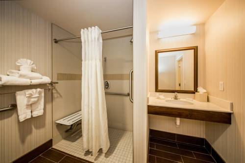 Imagen de la habitación del Hotel Hilton Garden Inn Valley Forge/oaks. Foto 10