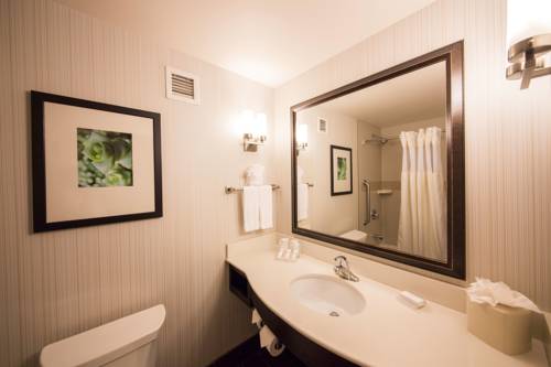 Imagen de la habitación del Hotel Hilton Garden Inn Valley Forge/oaks. Foto 12