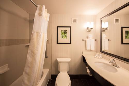 Imagen de la habitación del Hotel Hilton Garden Inn Valley Forge/oaks. Foto 13