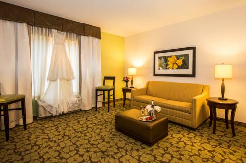 Imagen de la habitación del Hotel Hilton Garden Inn Valley Forge/oaks. Foto 15