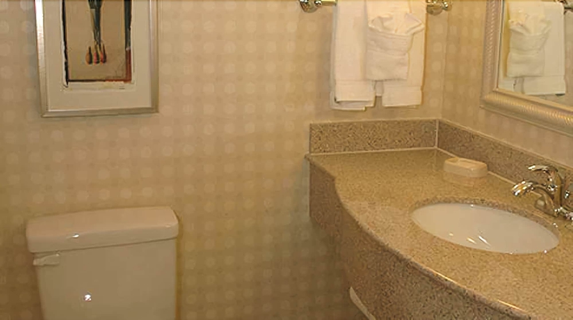 Imagen de la habitación del Hotel Hilton Garden Inn Victorville. Foto 3