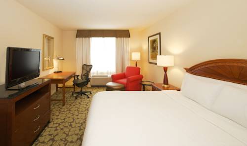 Imagen de la habitación del Hotel Hilton Garden Inn Virginia Beach Town Center. Foto 2