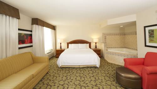 Imagen de la habitación del Hotel Hilton Garden Inn Virginia Beach Town Center. Foto 3
