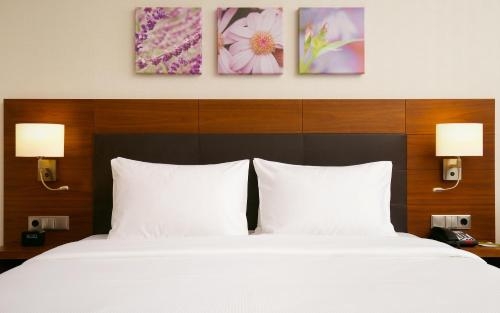 Imagen de la habitación del Hotel Hilton Garden Inn Volgograd. Foto 6