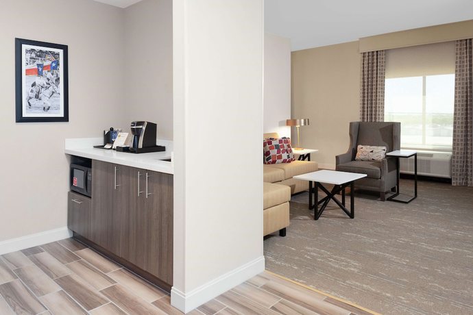 Imagen de la habitación del Hotel Hilton Garden Inn Waco. Foto 11