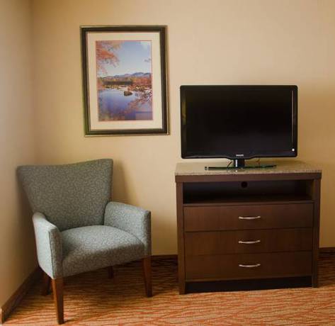 Imagen de la habitación del Hotel Hilton Garden Inn Watertown. Foto 4