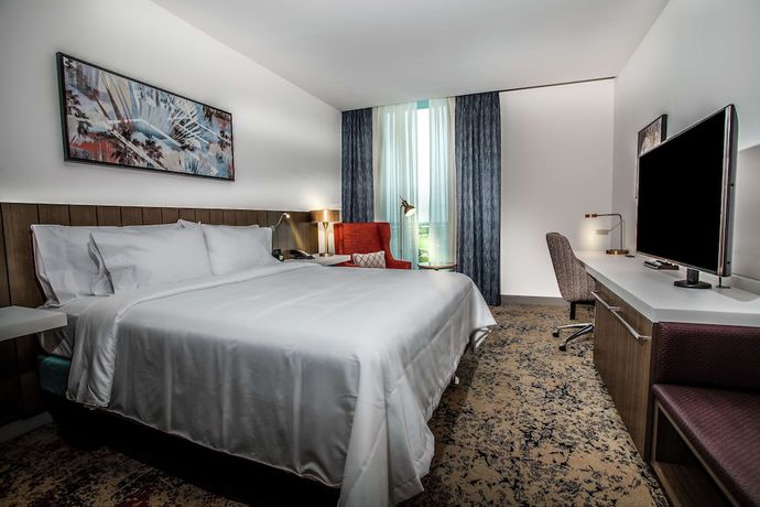 Imagen de la habitación del Hotel Hilton Garden Inn West Palm Beach I95 Outlets, West Palm Beach. Foto 8