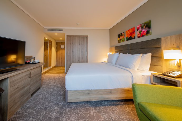 Imagen de la habitación del Hotel Hilton Garden Inn Wiener Neustadt. Foto 12