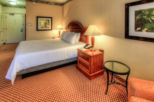 Imagen de la habitación del Hotel Hilton Garden Inn Williamsburg. Foto 1