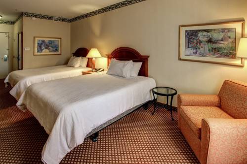 Imagen de la habitación del Hotel Hilton Garden Inn Williamsburg. Foto 2