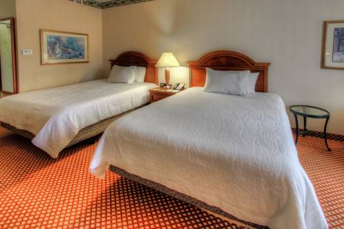 Imagen de la habitación del Hotel Hilton Garden Inn Williamsburg. Foto 3