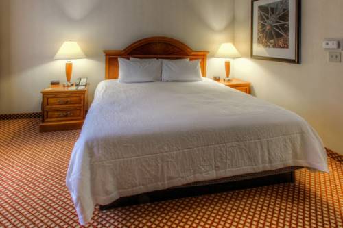 Imagen de la habitación del Hotel Hilton Garden Inn Williamsburg. Foto 4
