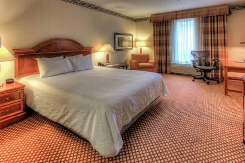 Imagen de la habitación del Hotel Hilton Garden Inn Williamsburg. Foto 5