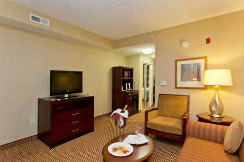 Imagen de la habitación del Hotel Hilton Garden Inn Winchester. Foto 4