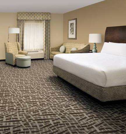 Imagen de la habitación del Hotel Hilton Garden Inn Winston-salem/hanes Mall. Foto 7