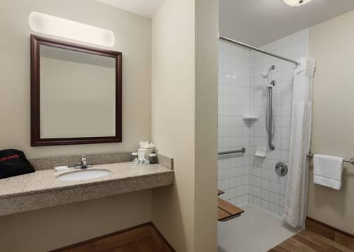 Imagen de la habitación del Hotel Hilton Garden Inn Wisconsin Dells. Foto 2