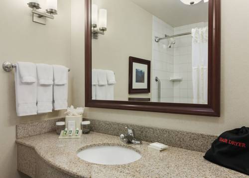 Imagen de la habitación del Hotel Hilton Garden Inn Wisconsin Dells. Foto 3