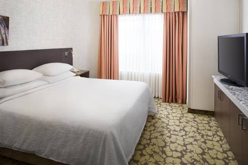 Imagen de la habitación del Hotel Hilton Garden Inn Wisconsin Dells. Foto 5
