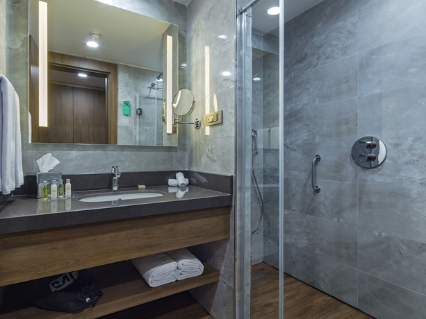 Imagen de la habitación del Hotel Hilton Garden Inn Yalova. Foto 5