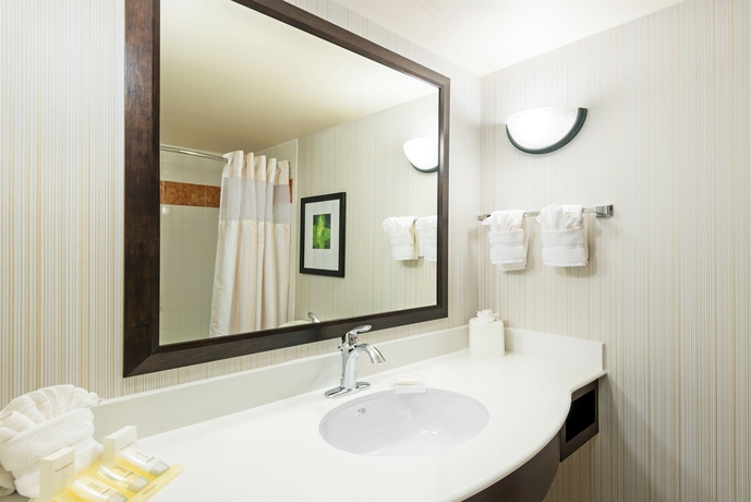 Imagen de la habitación del Hotel Hilton Garden Inn at SeaWorld. Foto 7