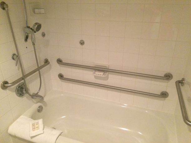 Imagen de la habitación del Hotel Hilton Garden Inn at SeaWorld. Foto 10