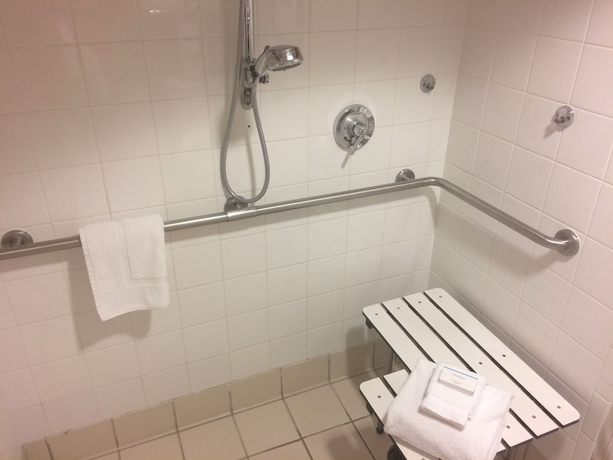 Imagen de la habitación del Hotel Hilton Garden Inn at SeaWorld. Foto 11