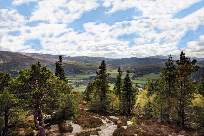 Imagen general del Hotel Hilton Grand Vacations Club Craigendarroch Suites Scotland. Foto 3