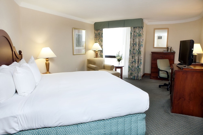 Imagen de la habitación del Hotel Hilton Greenville. Foto 13