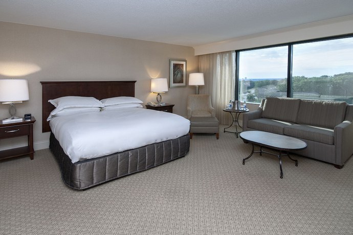 Imagen de la habitación del Hotel Hilton Greenville. Foto 13