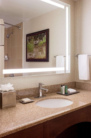 Imagen de la habitación del Hotel Hilton Houston Galleria Area. Foto 7