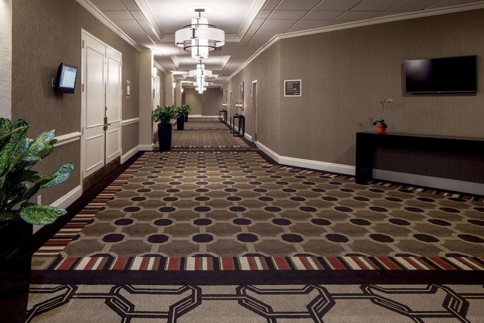 Imagen de los interiores del Hotel Hilton Houston Galleria Area. Foto 16