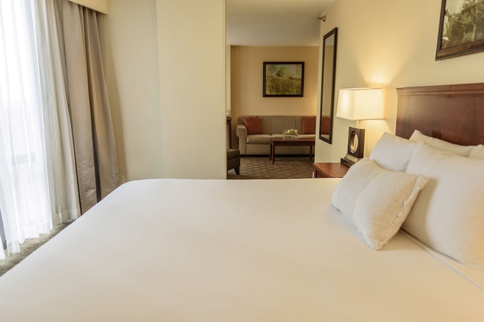Imagen de la habitación del Hotel Hilton Houston Galleria Area. Foto 13