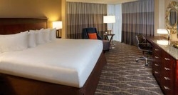Imagen de la habitación del Hotel Hilton Houston Westchase. Foto 2