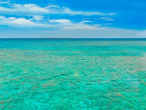 Imagen de los exteriores del Hotel Hilton Key West Resort & Marina. Foto 12