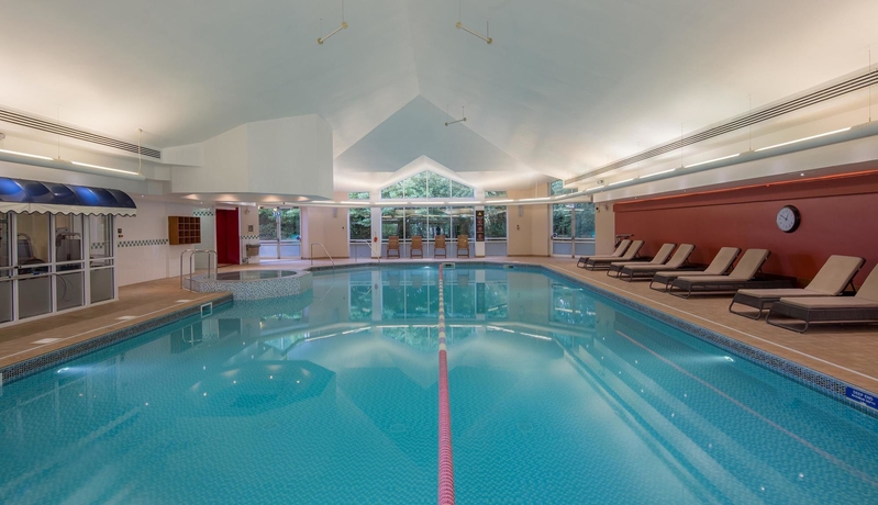 Imagen de la piscina del Hotel Hilton Leicester. Foto 16