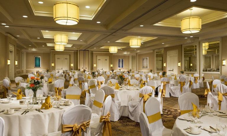 Imagen de los interiores del Hotel Hilton New Orleans Airport. Foto 14