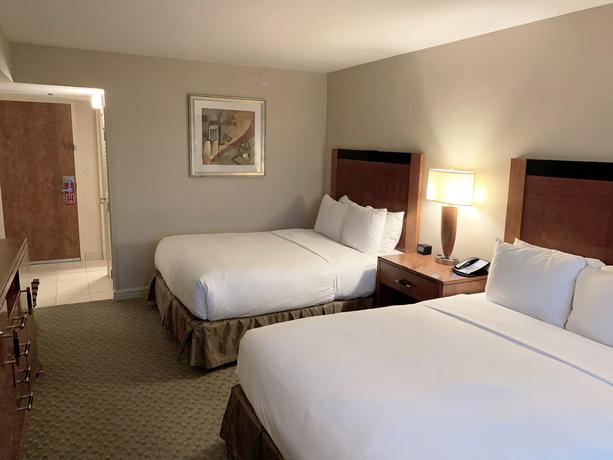 Imagen de la habitación del Hotel Hilton New York JFK Airport. Foto 11