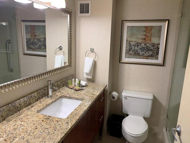 Imagen de la habitación del Hotel Hilton New York JFK Airport. Foto 12