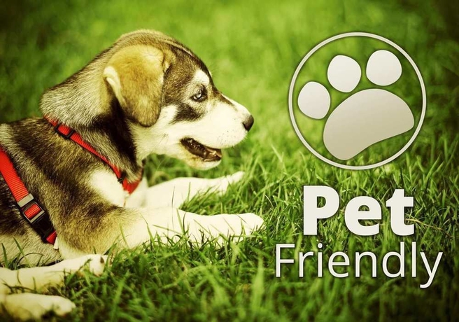 Imagen de los exteriores del Hotel Hilton Palm Springs Resort. Foto 10