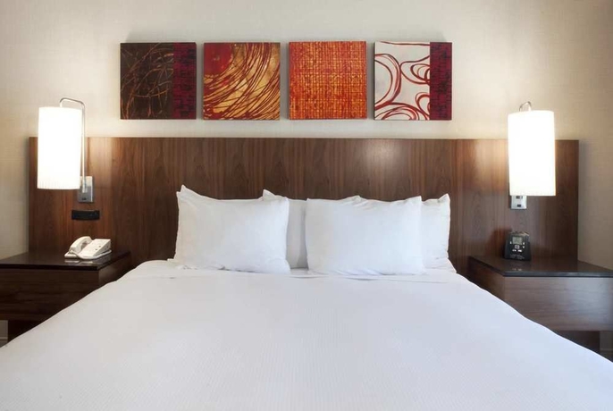 Imagen de la habitación del Hotel Hilton Palm Springs Resort. Foto 4